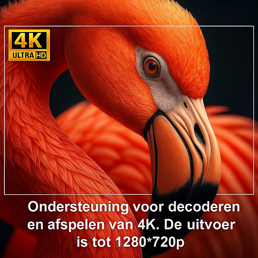 Mini Projector – Voor de gezelligste filmavonden